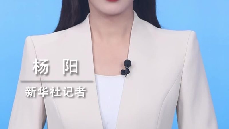 数据安全风险评估：企业如何构建坚实防线